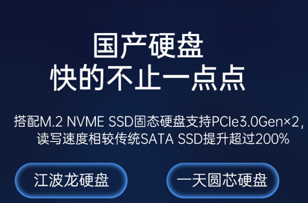 國產硬盤.png