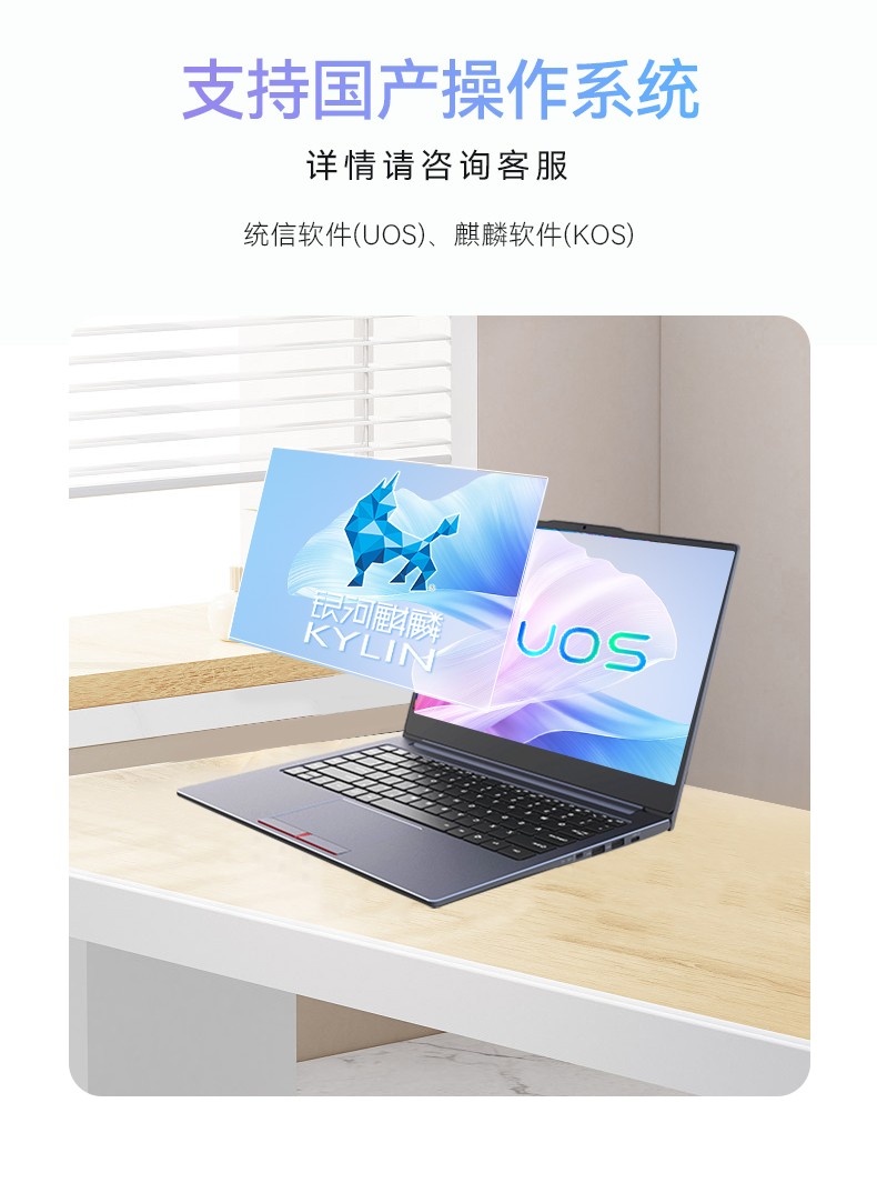 國產龍芯3A5000M筆記本,DT-S14L4UD.jpg